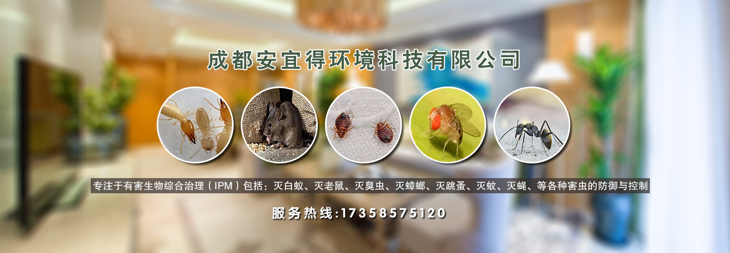 成都安宜得环境科技有限公司  